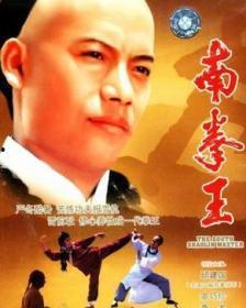 老电影南拳王在线观看,热血拳魂，激战江湖  第2张